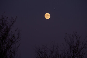 Fototapeta premium Full Moon, stars, planets and landscape scenery silhouettes.