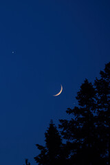 Fototapeta premium Crescent young Moon with stars, planets and rural countryside tree silhouettes.