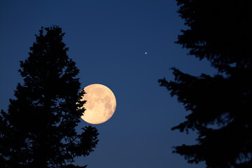 Full Moon with stars, planets and rural countryside tree silhouettes.
