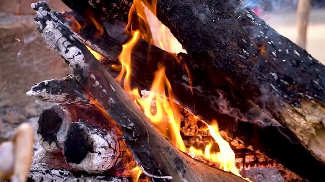 Slow motion shot of cooking of traditional Pakistani street food chappal kabab