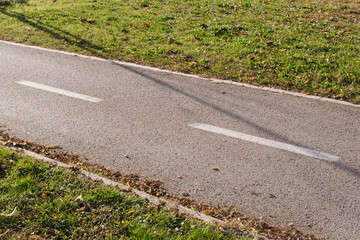 Path, road and park scene with asphalt surface, white dashed lines, and green grass edging. Sunlit outdoor walkway inviting walking, cycling, or jogging in a calm park setting.