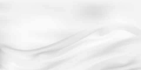 abstract white and silver are light pattern gray with the gradient is the with floor wall metal texture soft tech diagonal background black dark clean modern.