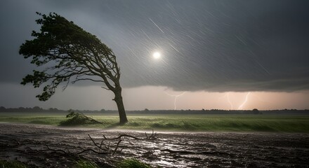 Tree standing in flooded field during storm at sunset