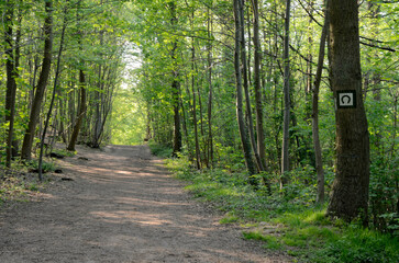 Foret de la Malmaison