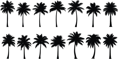 Collection of tropical palm tree silhouettes featuring various shapes and foliage styles, perfect for beach, summer, nature, and outdoor themed vector design projects. © Mun islam