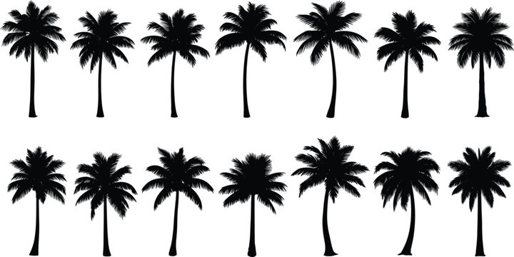 Collection of tropical palm tree silhouettes featuring various shapes and foliage styles, perfect for beach, summer, nature, and outdoor themed vector design projects.