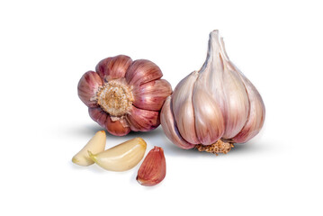 Garlic bulb and clove isolated. Garlic bulbs with cloves on white background