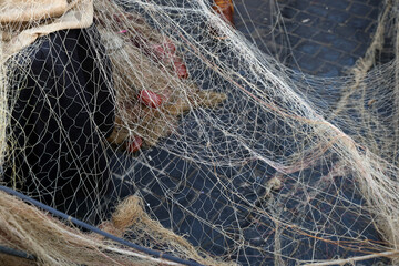 Reti da pesca