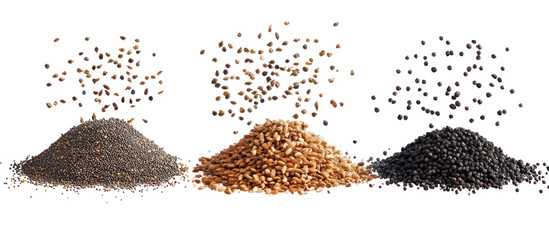 Three piles of nigella seeds cumin seeds and basil seeds falling on transparent background