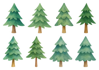 Fototapeta premium PNG Watercolor evergreen trees illustration, element set on transparent background