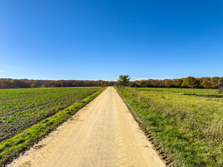 Straight unpaved farm road leading through agricultural fields toward a distant tree line under a deep blue sky.