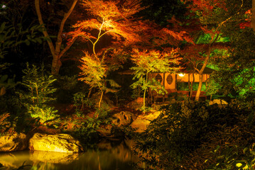 夜の六義園の東屋 / Azumaya at Rikugien Garden at Night