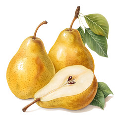 Ripe pears isolated on transparent background