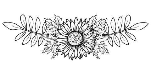 Sunflower flower with maple leaves. Autumn banner and frame. Botanical vector art. Black graphic illustration, hand-drawn using line art. Suitable for logos, tattoo sketches, seasonal projects