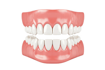 Obraz premium A detailed 3D rendering of a human dental model upper and lower teeth alignment. emphasizing dental anatomy. with a clean white background suitable for educational and medical purposes