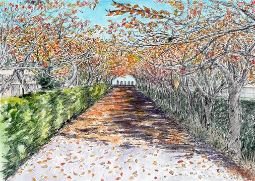 冬の桜 Images – Browse 242 Stock Photos, Vectors, and Video