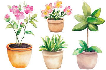 A collection of watercolor potted plants various species. including orchids and succulents. set against a clean white background. ideal for nature-themed decor or gardening inspiration