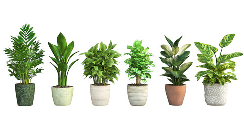 Fototapeta premium A display of six diverse indoor plants in decorative pots. various leaf shapes and colors. arranged neatly against a clean white background. ideal for home decor inspiration