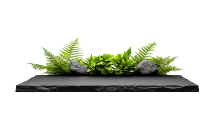 Headstone with Rocks and Ferns on Transparent Background