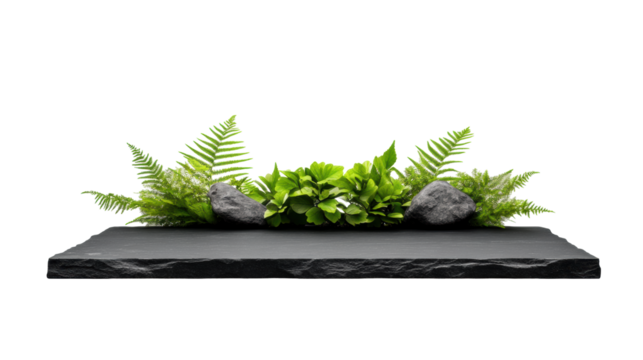 Headstone with Rocks and Ferns on Transparent Background