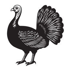 Fototapeta premium Black and white silhouette illustration of a wild turkey. 