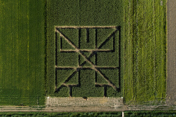Aerial view of geometric patterns carved into a cornfield, a stark contrast against the surrounding green fields, creating an intriguing visual puzzle, Ivanić-Grad, Zagreb County, Croatia.