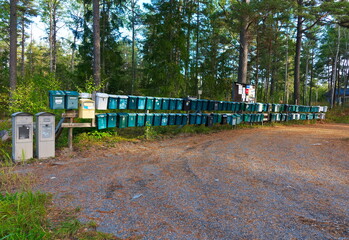 Fototapety na wymiar - Fototapeta24.pl