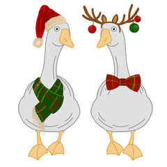 Two adorable geese dressed in Christmas costumes with scarf, Santa hat, reindeer antlers and ornaments. Playful winter illustration for cards, posters, stickers and holiday projects.