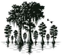 Detailed Cypress Tree in Swamp Black and White Vector Illustration