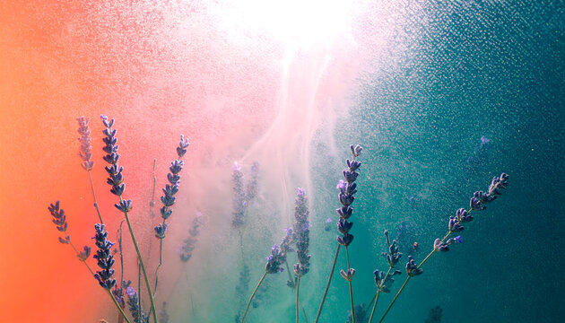 gradient background mesh, teal, coral, lavender, glowing grain, soft luminous effect