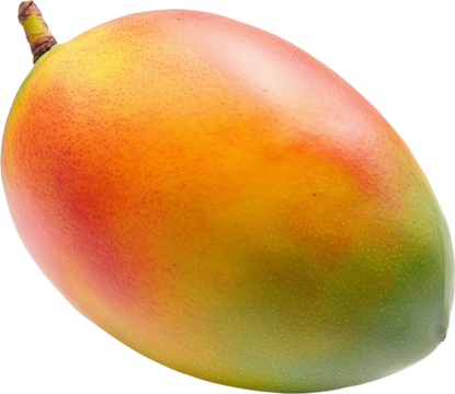Gradient Colored Fresh Mango