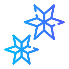christmas star gradient icon