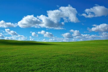 Naklejka premium Vast, vibrant green field under a vibrant blue sky dotted with puffy white clouds. A gentle slope stretches across the entire image