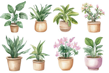 Fototapeta premium A collection of various indoor potted plants. lush green foliage and colorful flowers. arranged aesthetically against a clean white background. ideal for home decor inspiration
