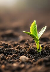 Colorful Easter eggs arranged on white fabric background  
