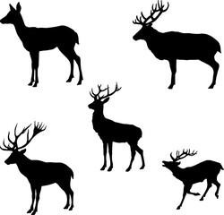 Deer silhouette drawing in many poses, vector for design work