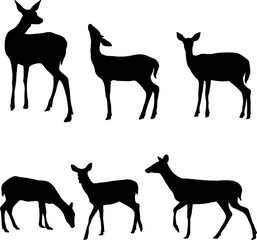 Deer silhouette drawing in many poses, vector for design work