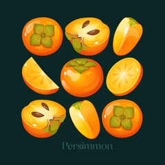 Cartoon vector illustration of persimmon fruits whole, halved, and sliced, isolated on a dark teal background. Food illustrations, botanical design, seasonal fruits, healthy eating.
