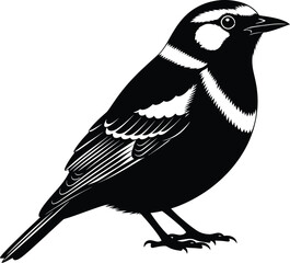 Black and white bird vector illustration graphic design element art eps silhouette