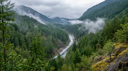 Scenic view of a winding train track cutting through lush green forested mountains with misty clouds and overcast sky creating a mysterious wilderness atmosphere