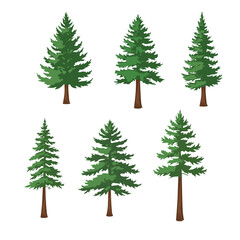 Pine Tree Illustration Bundle , Evergreen Conifer Forest Vector Elements for Nature Landscape, Winter Christmas Design, Outdoor Scenery Decoration, Editable Clipart Graphic Set