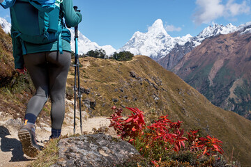 Backpacker on trail with Ama Dablam mountain in background.. Shot from behind, focusing on journey and majestic Himalayan landscape on sunny day.