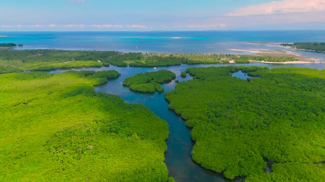 An aerial view of the Sundarbans Mangrove Forest, showcasing winding waterways through dense green foliage extending to the blue ocean and distant islands, India.