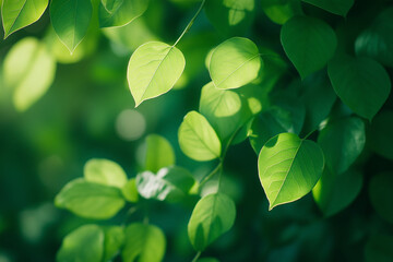 Soft focus background of lush green leaves, natural light, shallow depth of field