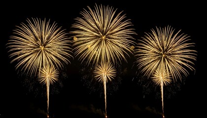 Golden fireworks burst in the night sky creating a spectacular display of light and celebration during a festive event
