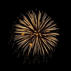 A single bright golden yellow fireworks burst explodes outward in a starburst pattern against a deep black night sky during a celebration