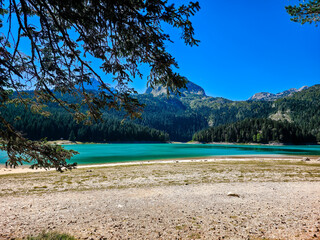 Turquoise waters of Black Lake surrounded by dense pine forest and mountain peaks. A peaceful Durmitor landscape captured from the shade of overhanging branches on a bright, clear summer day.