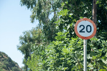 Twenty speed limit sign beside lush green roadside within bright sun