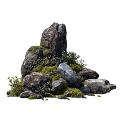 Rocks, moss, and small flowers growing together on a transparent background