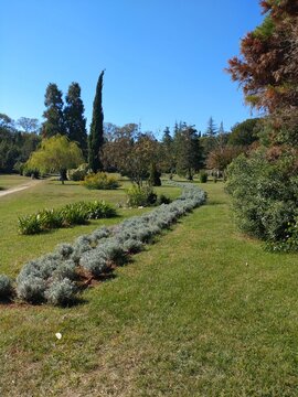 Mediterranean Garden Brijuni Island Croatia